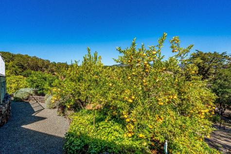 1790 Warm Springs Road Glen Ellen CA 95442
