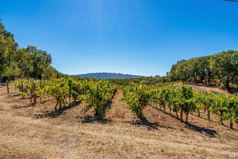 1790 Warm Springs Road Glen Ellen CA 95442