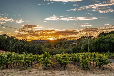 1790 Warm Springs Road Glen Ellen CA 95442