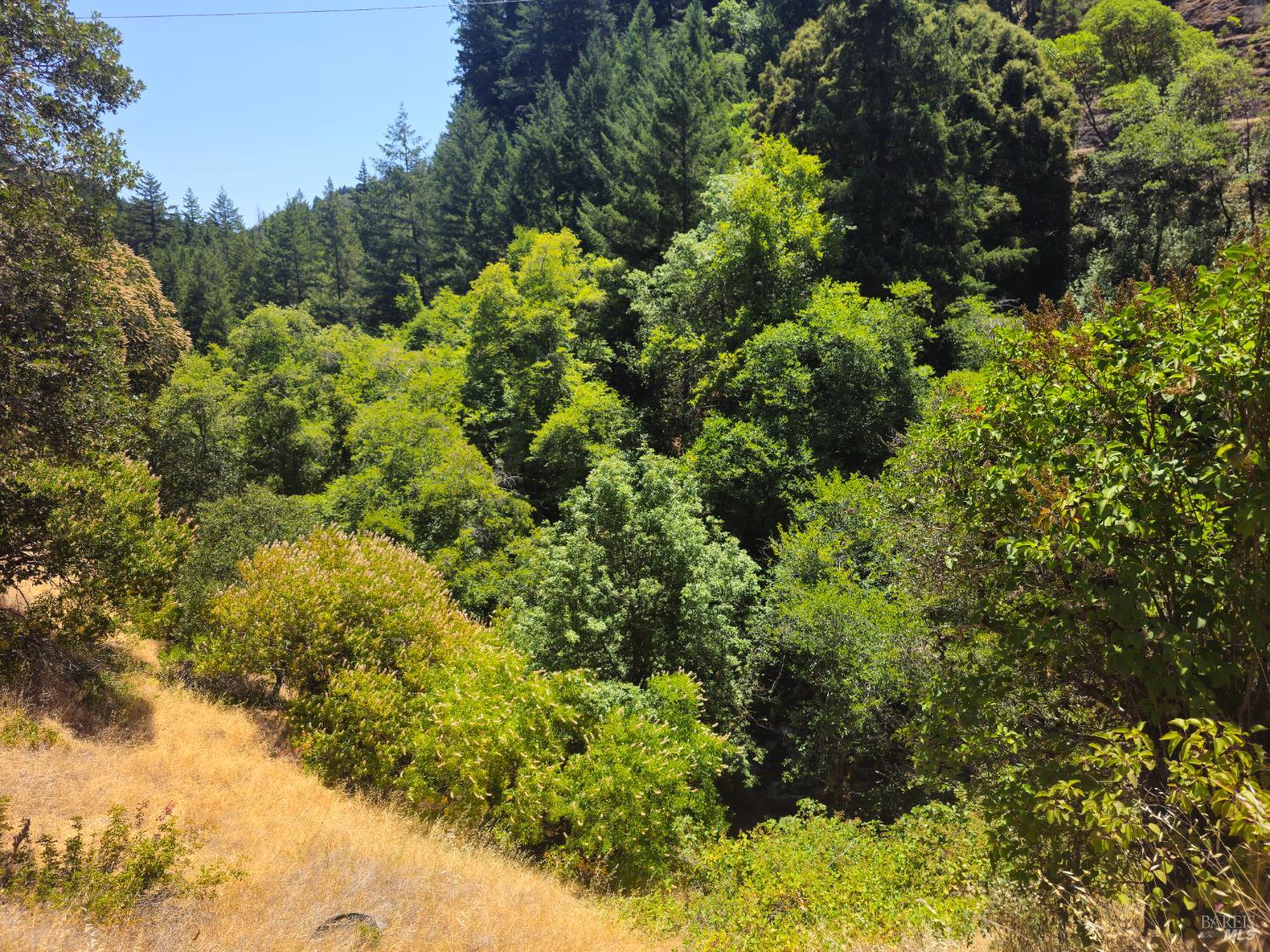 58901 Hwy 101 Highway Leggett CA 95585
