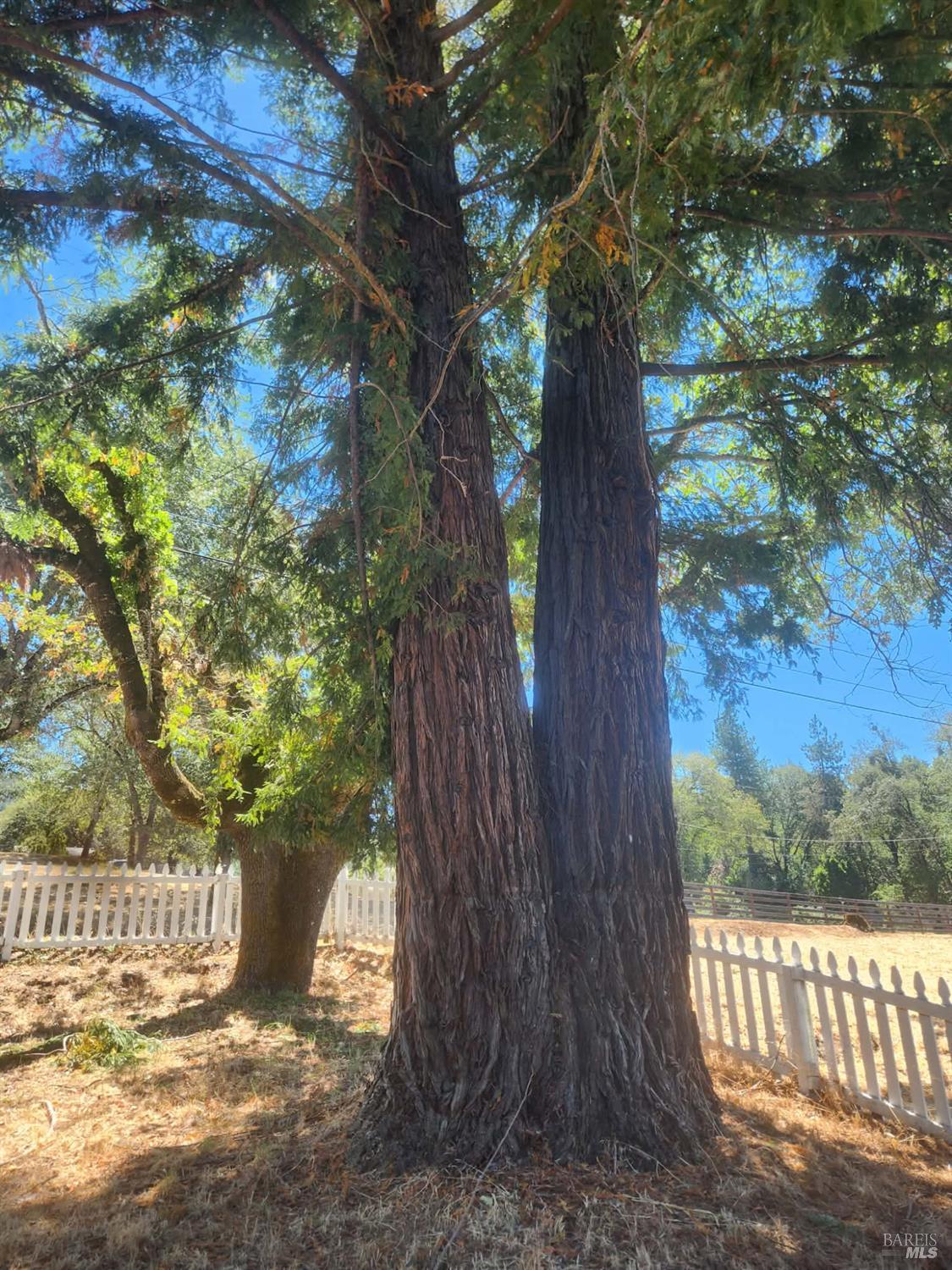 22620 Eastside Road Willits CA 95490