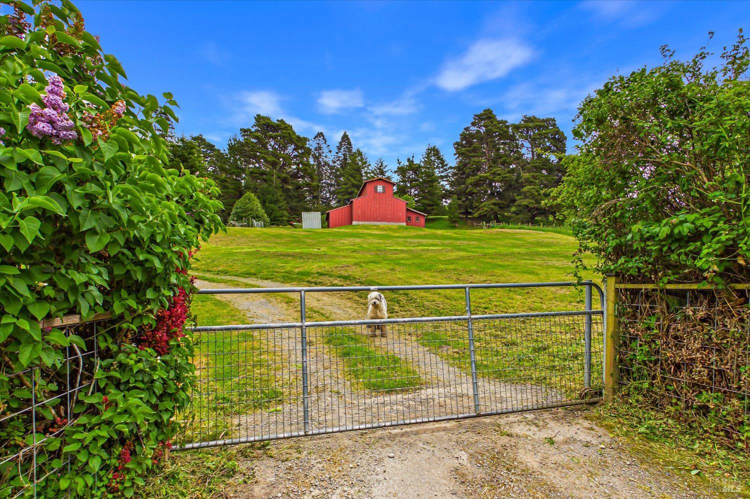 6483 Rohnerville Road Hydesville CA 95547