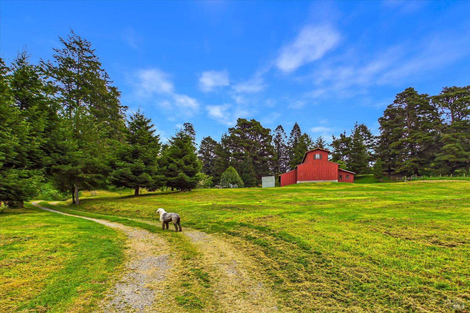 6483 Rohnerville Road Hydesville CA 95547