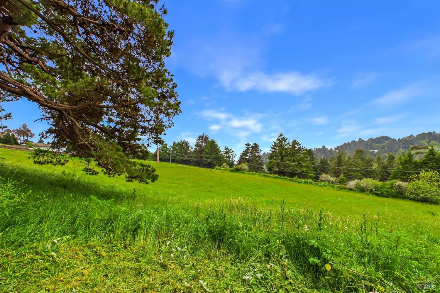 6483 Rohnerville Road Hydesville CA 95547