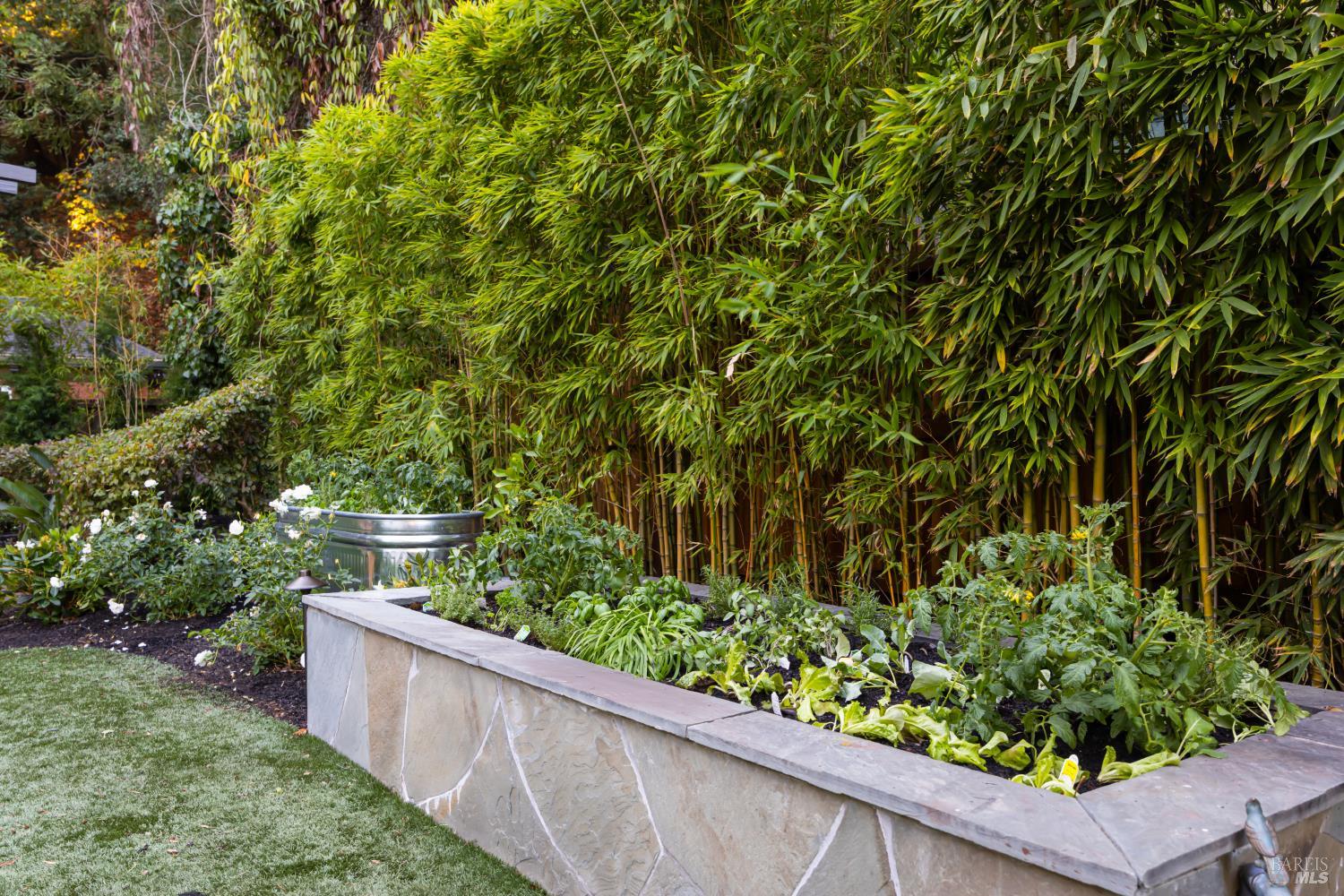 215 Laurel Grove Avenue Kentfield CA 94904