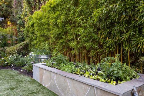 215 Laurel Grove Avenue Kentfield CA 94904