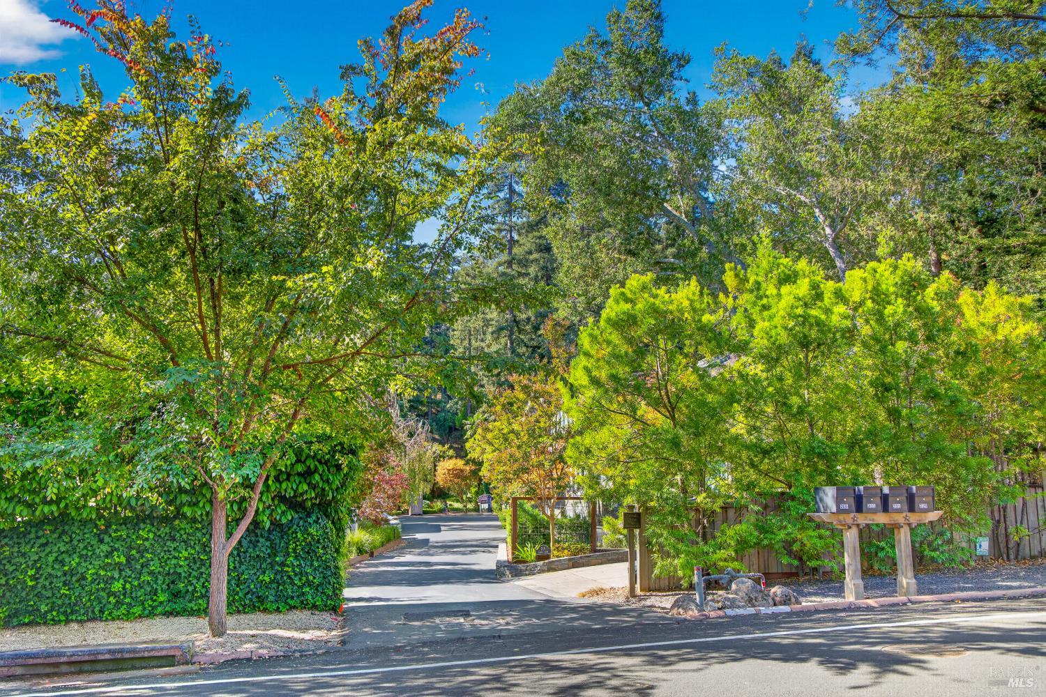 215 Laurel Grove Avenue Kentfield CA 94904