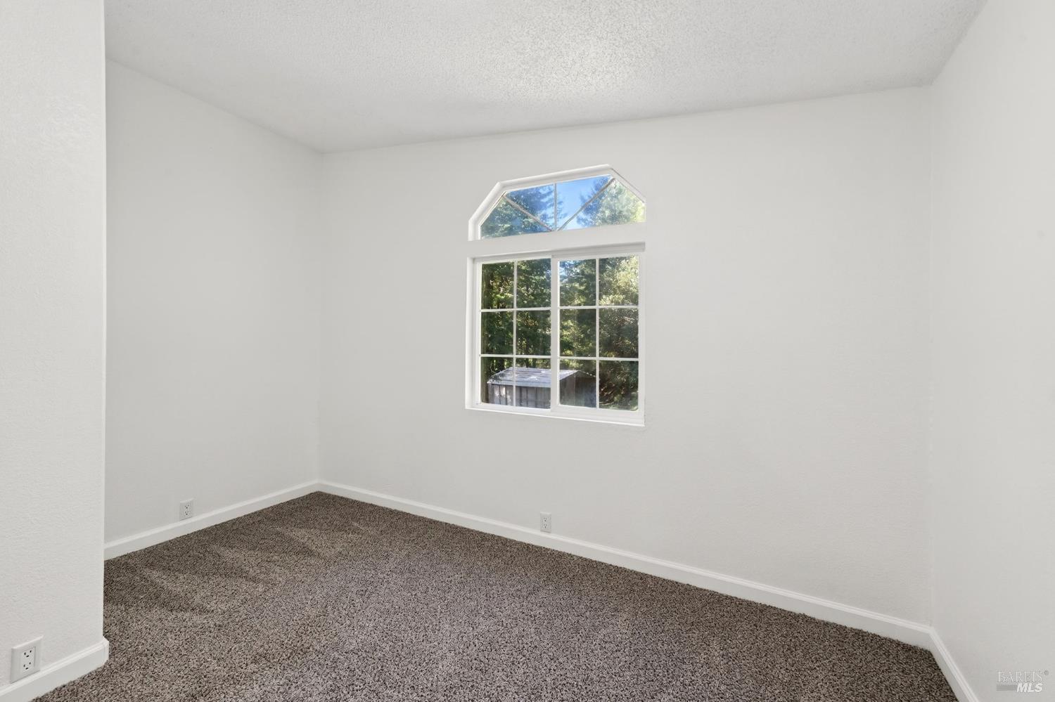 40421 Mountain View Road Manchester CA 95459