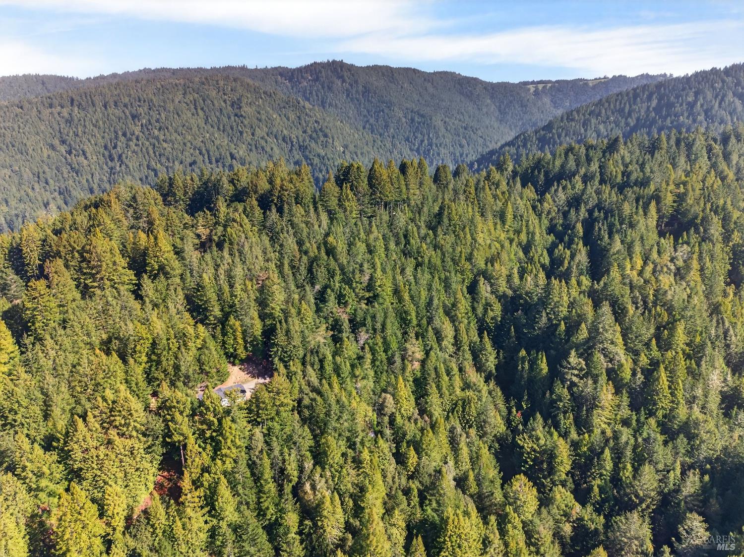 40421 Mountain View Road Manchester CA 95459