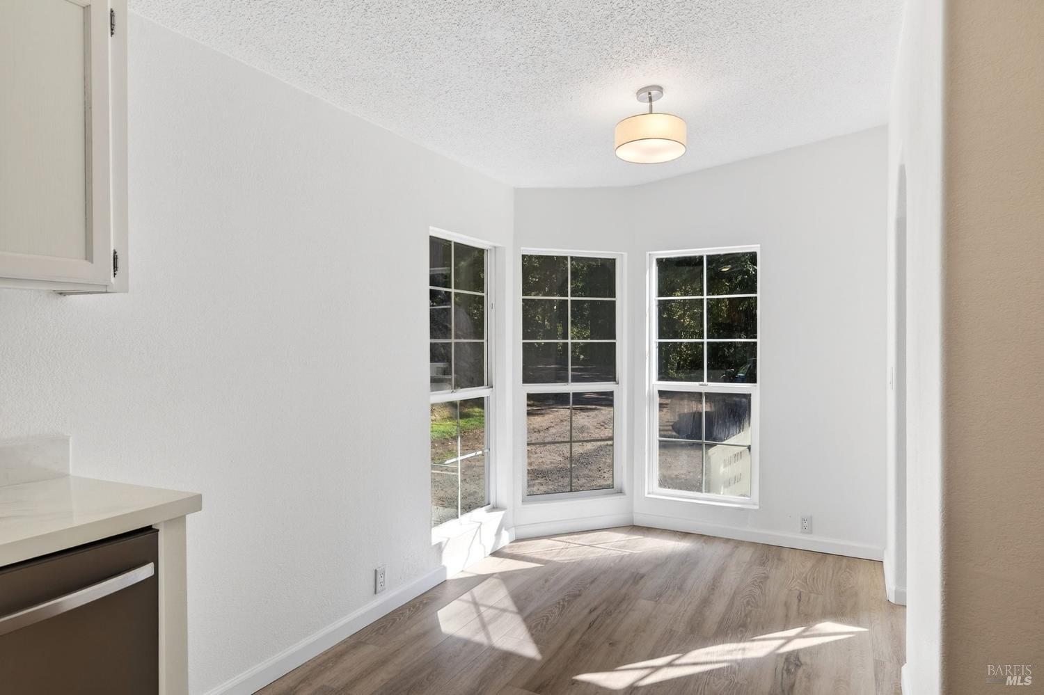 40421 Mountain View Road Manchester CA 95459