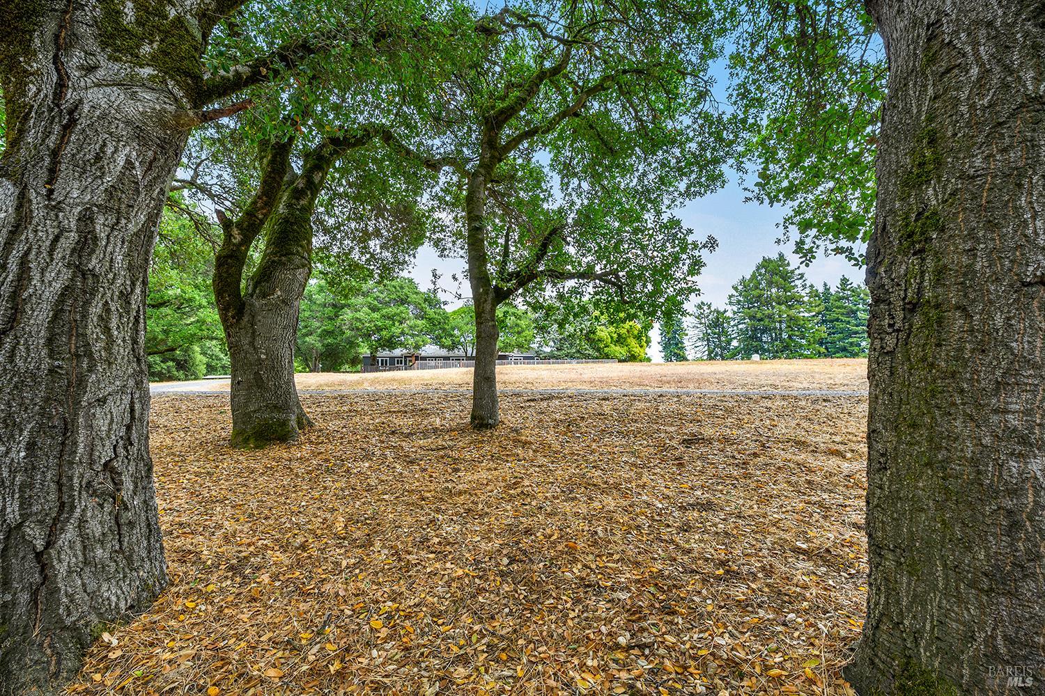 6264 Fredricks Road Sebastopol CA 95472