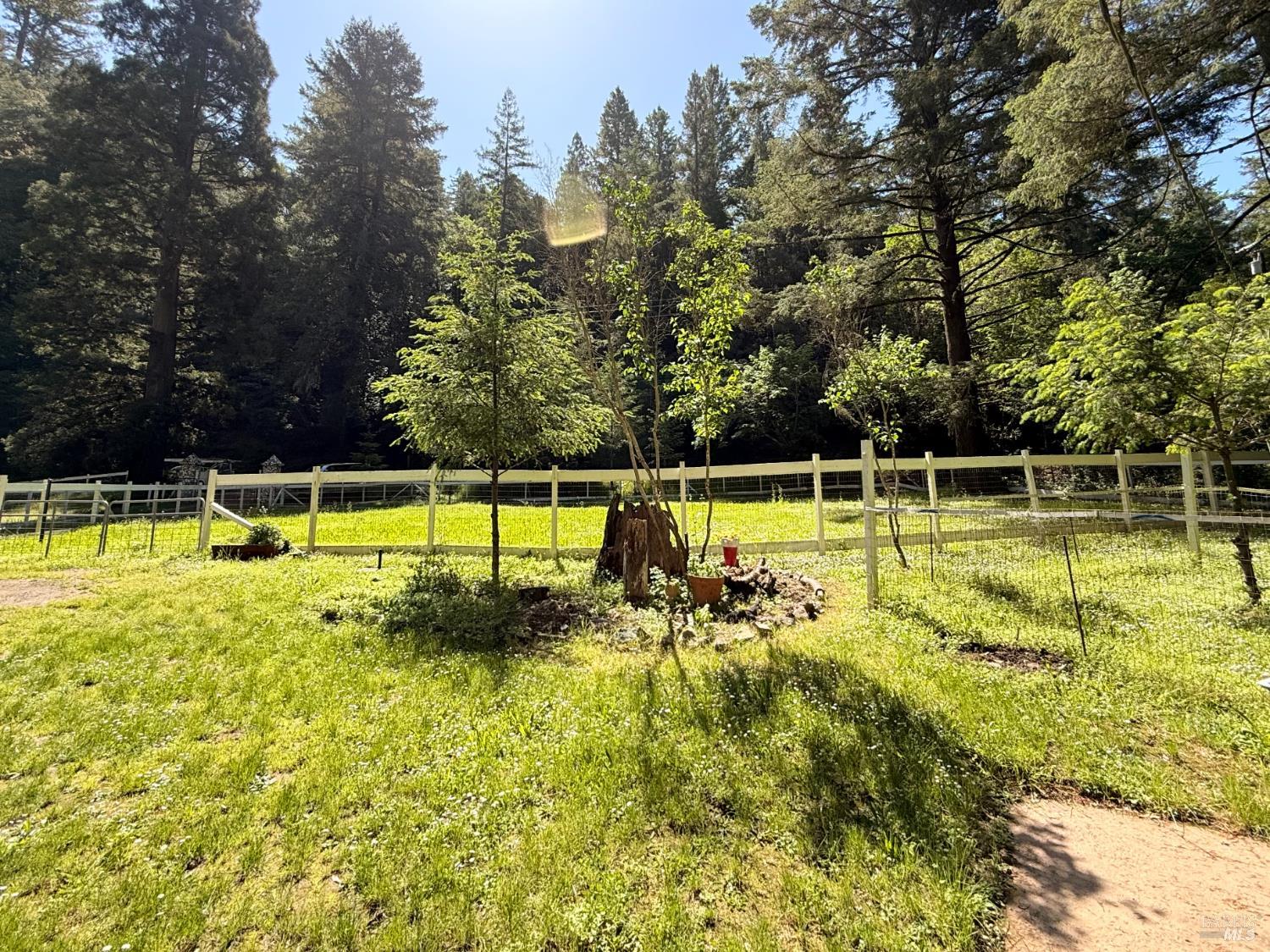 11260 Hwy 116 Highway Guerneville CA 95446