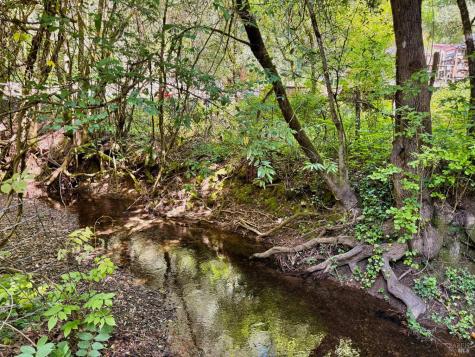 11260 Hwy 116 Highway Guerneville CA 95446