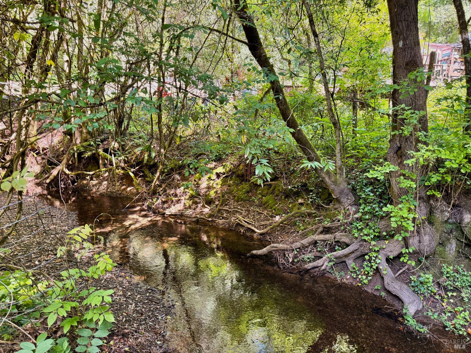 11260 Hwy 116 Highway Guerneville CA 95446