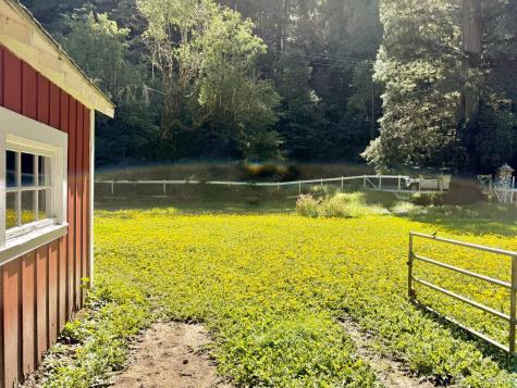 11260 Hwy 116 Highway Guerneville CA 95446