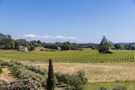 2614 Scotts Right Of Way Sebastopol CA 95472