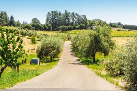 2614 Scotts Right Of Way Sebastopol CA 95472