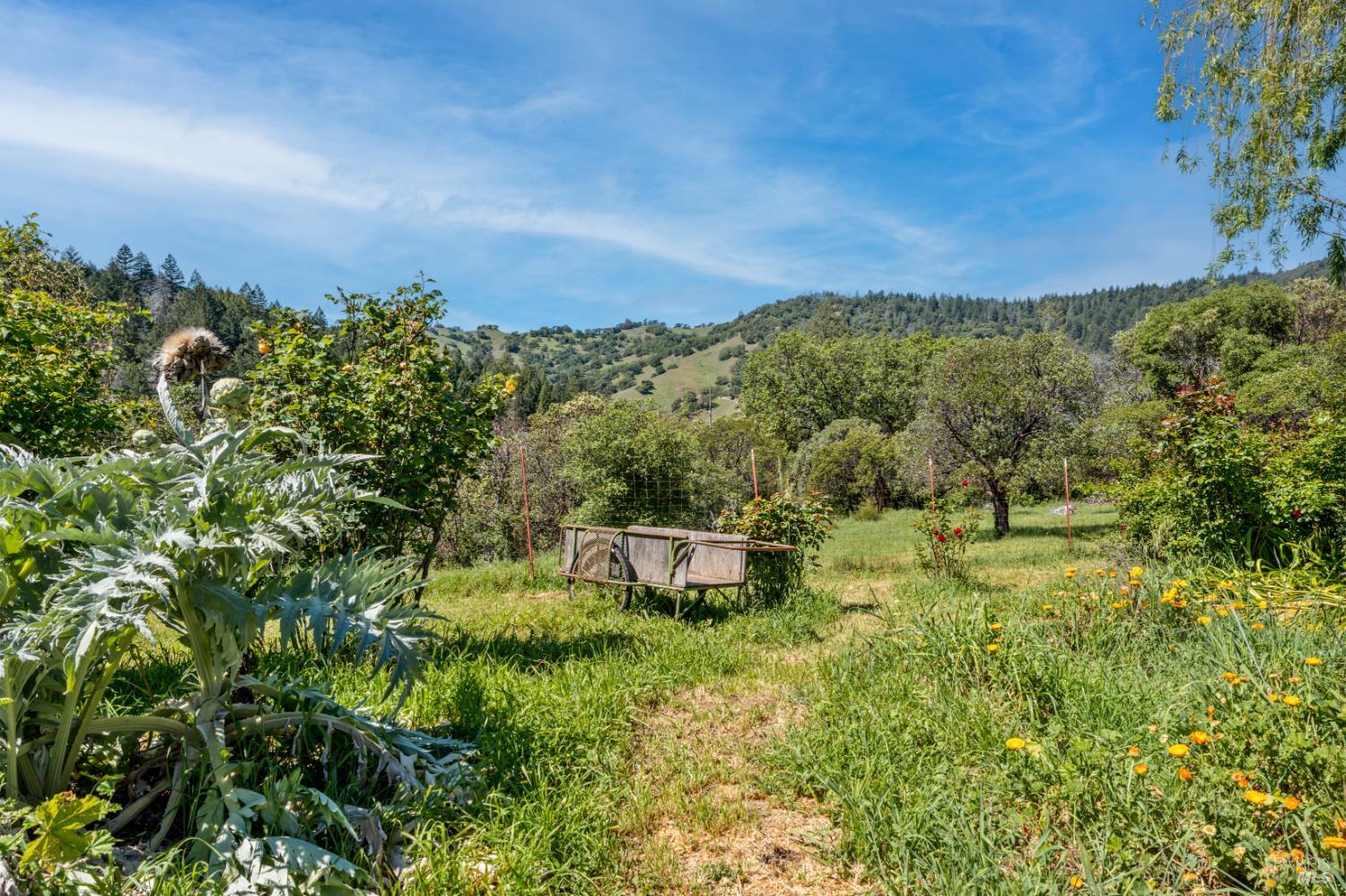 3751 Low Gap Road Ukiah CA 95482