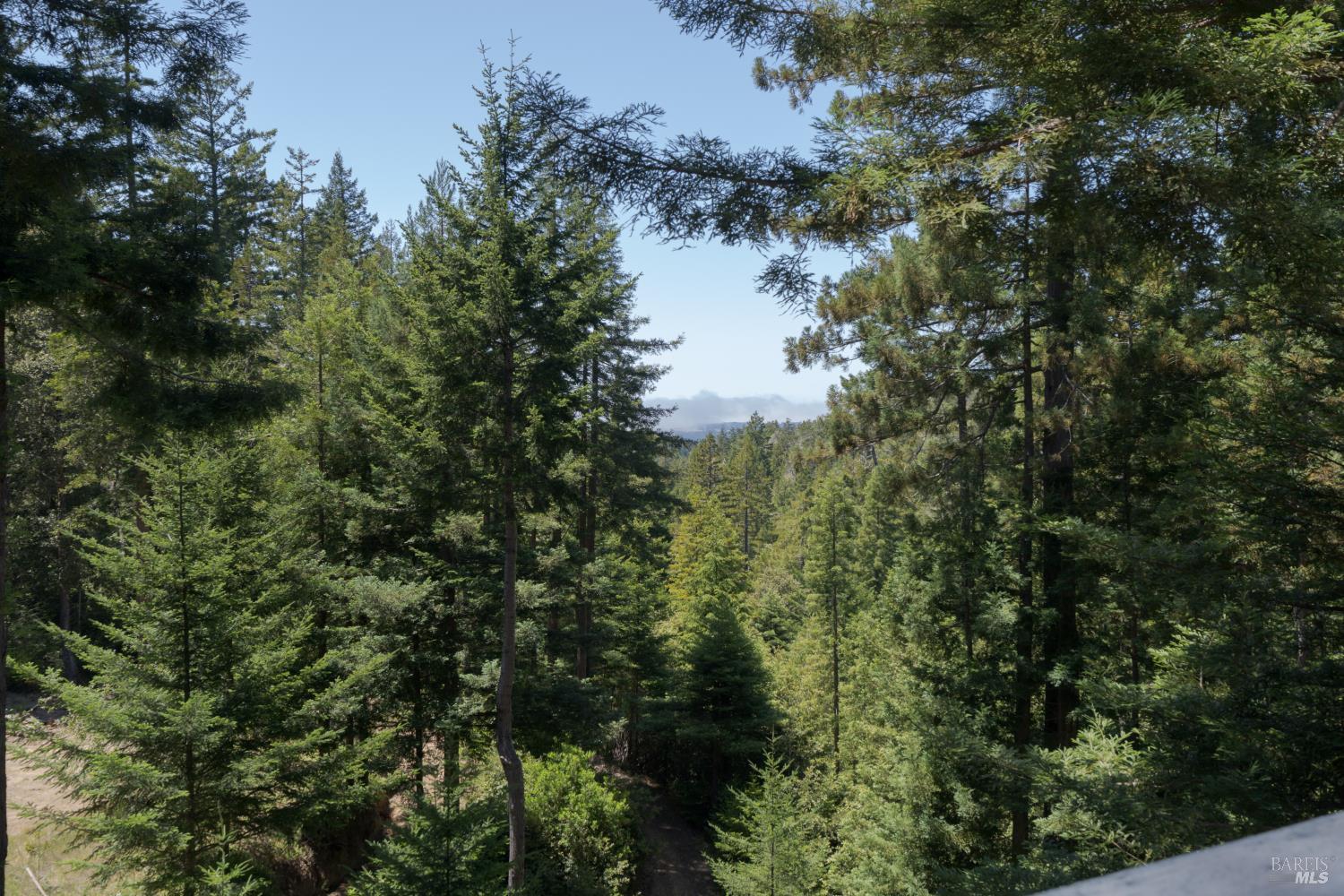 44000 Iversen Road Gualala CA 95445