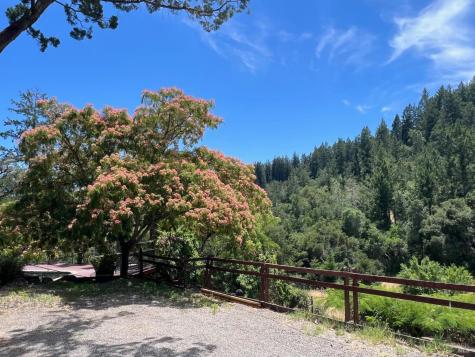 2348 Mill Creek Lane Healdsburg CA 95448
