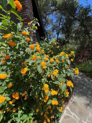2348 Mill Creek Lane Healdsburg CA 95448