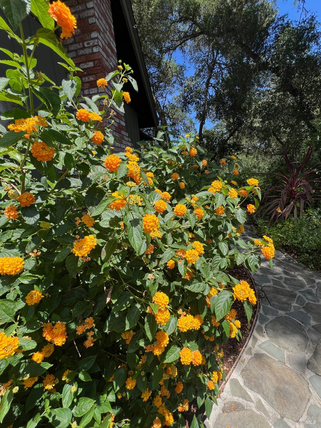 2348 Mill Creek Lane Healdsburg CA 95448