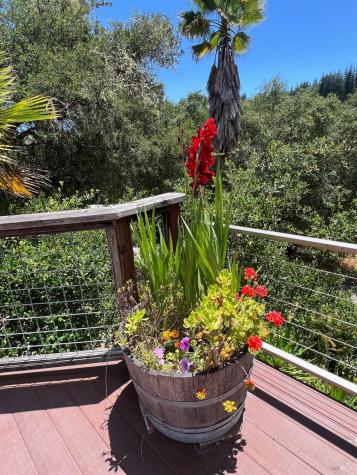 2348 Mill Creek Lane Healdsburg CA 95448
