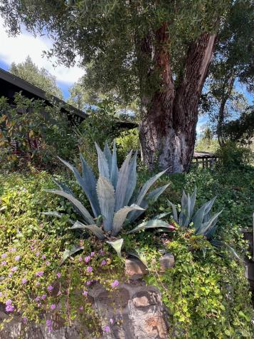 2348 Mill Creek Lane Healdsburg CA 95448