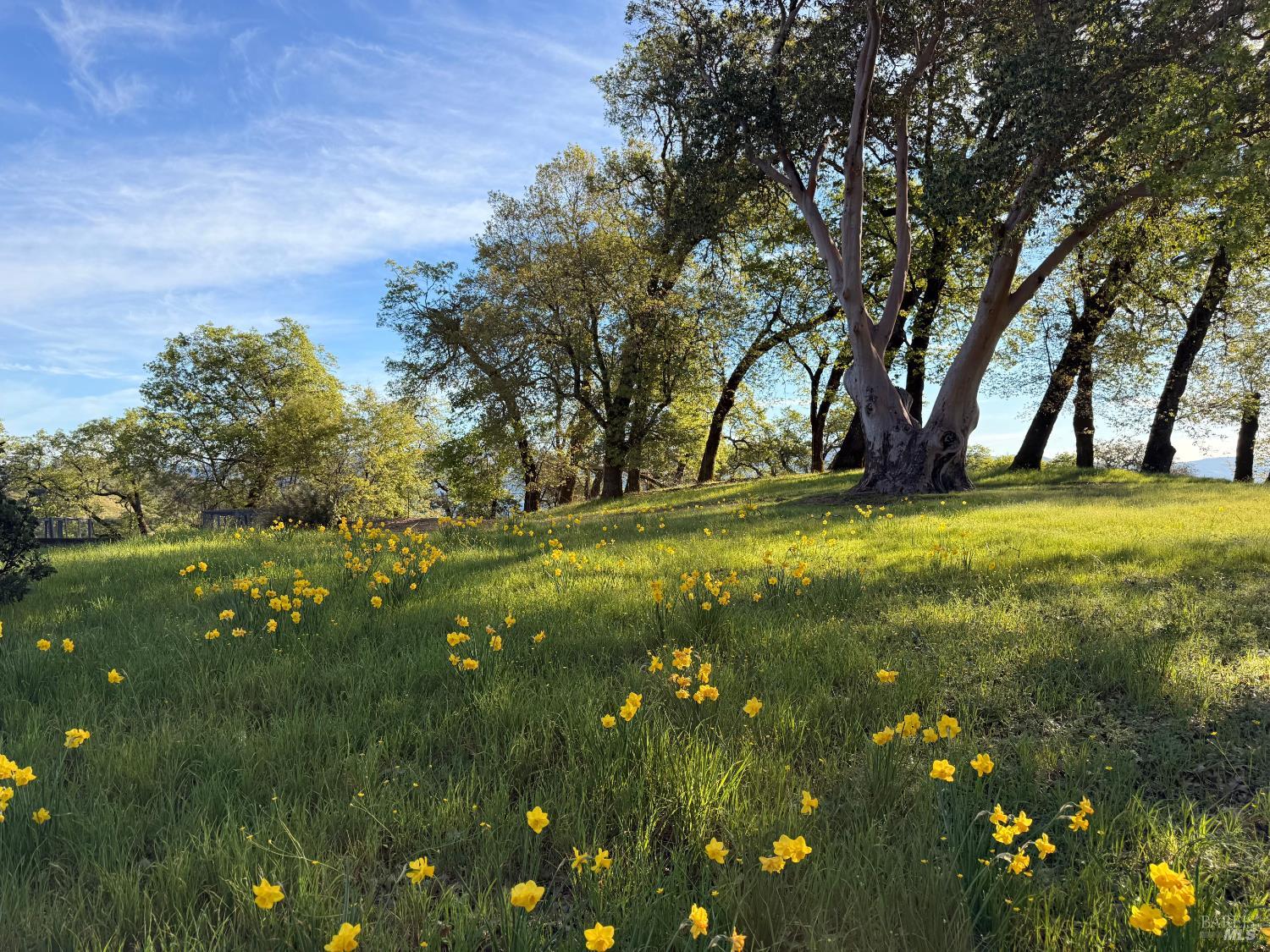 12801 Valley View Drive Ukiah CA 95482