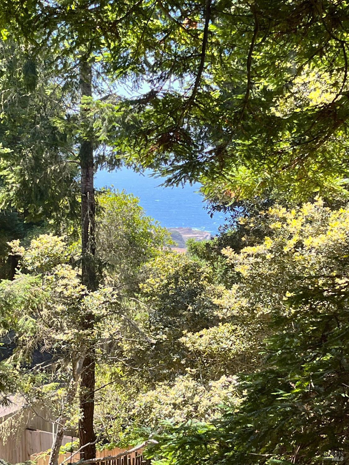 241 Moonraker Road The Sea Ranch CA 95497