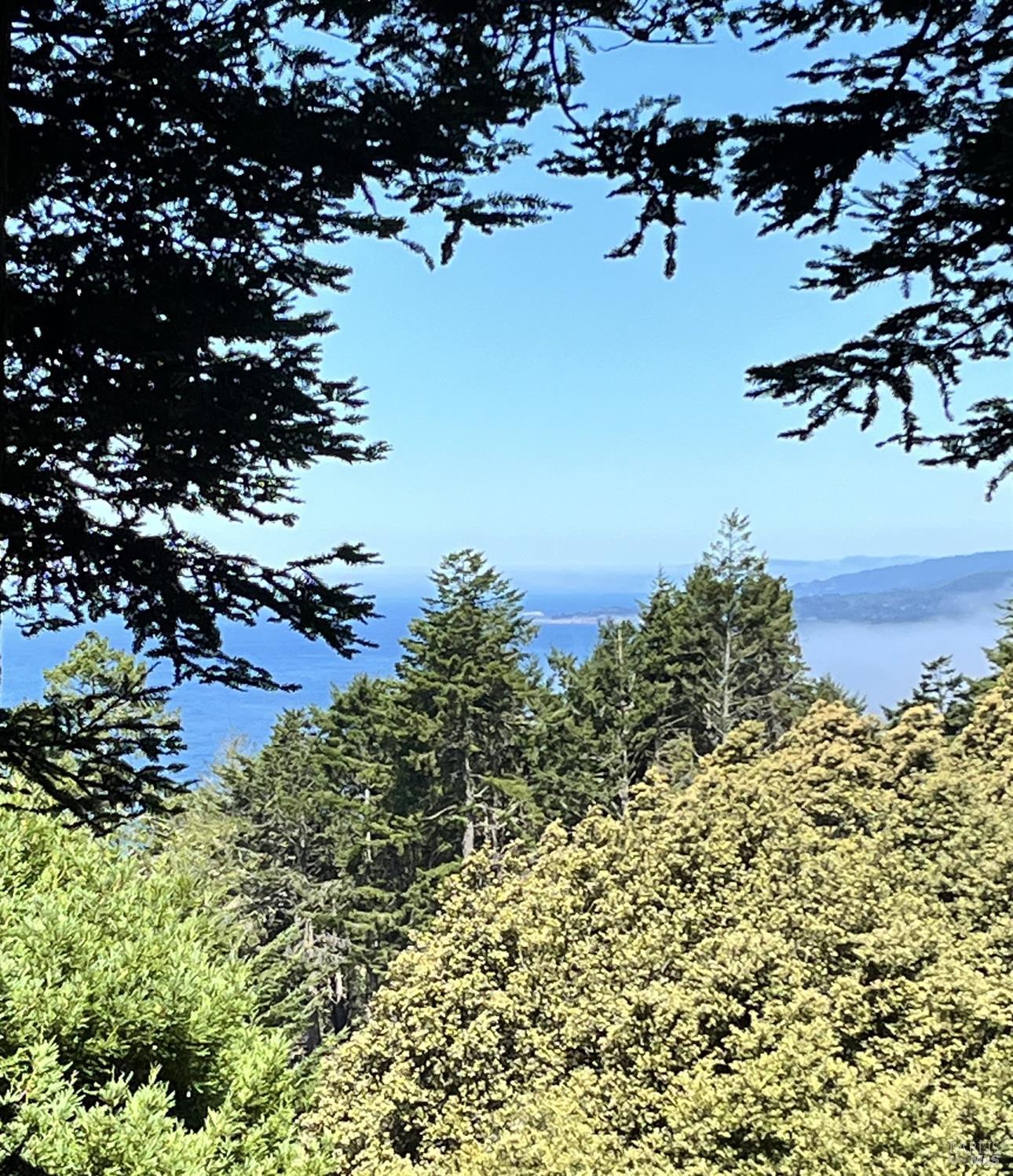 241 Moonraker Road The Sea Ranch CA 95497
