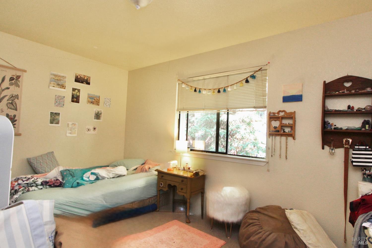 14565 Canyon 1 Road Guerneville CA 95446