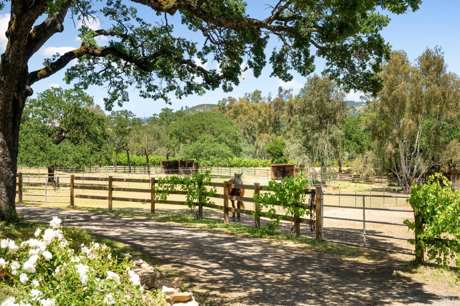 100 W Trinity Road Glen Ellen CA 95442