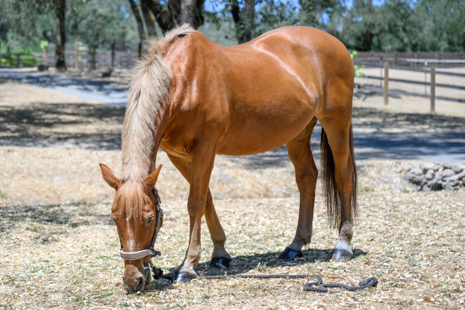 100 W Trinity Road Glen Ellen CA 95442