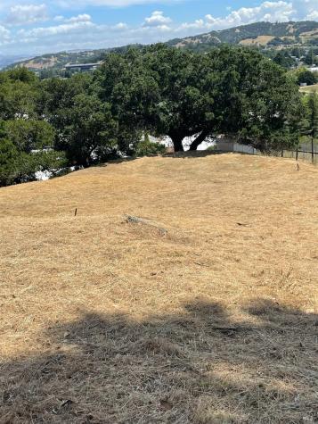 14 Tenaya Lane Novato CA 94947