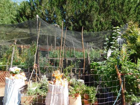 12580 Mays Canyon Road Guerneville CA 95446