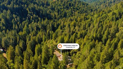 13785 Green Valley Road Forestville CA 95436