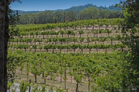 5519 Dry Creek Road Healdsburg CA 95448