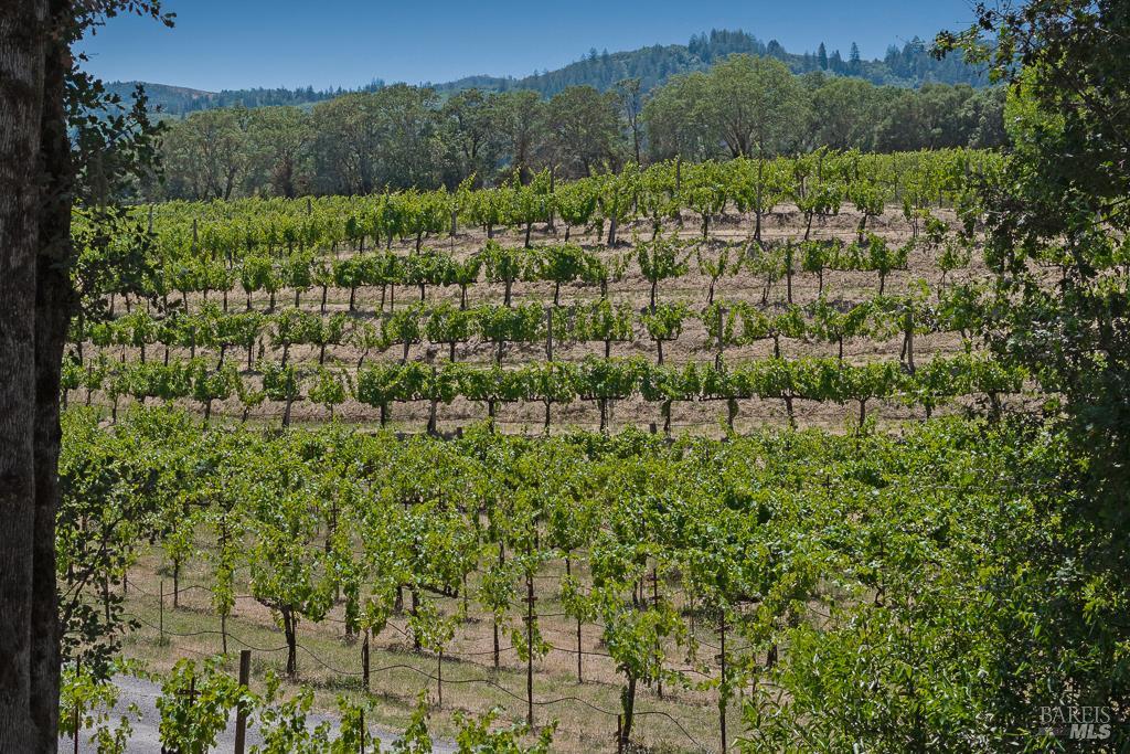 5519 Dry Creek Road Healdsburg CA 95448