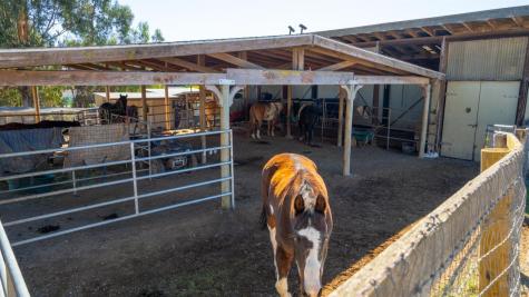 487 Ormsby Lane Petaluma CA 94954