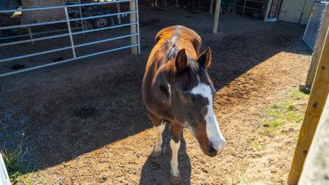 487 Ormsby Lane Petaluma CA 94954