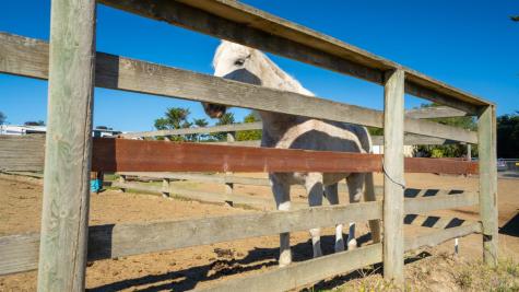 487 Ormsby Lane Petaluma CA 94954