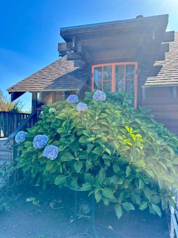 175 Horseshoe Hill Road Bolinas CA 94924