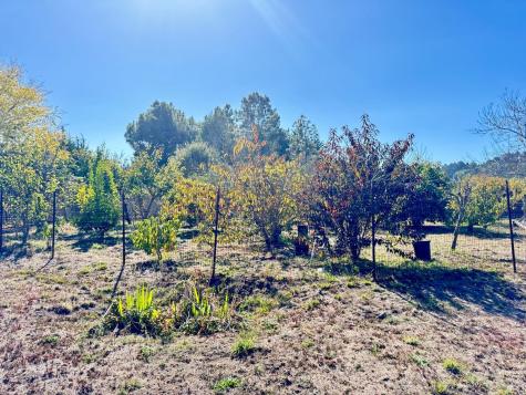 175 Horseshoe Hill Road Bolinas CA 94924