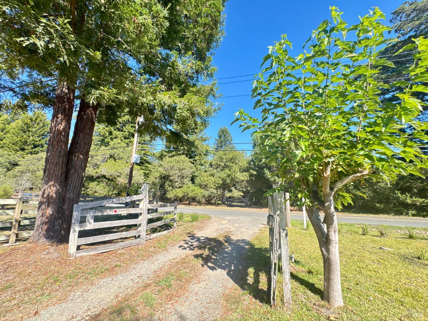175 Horseshoe Hill Road Bolinas CA 94924