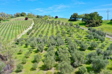 25500 River Road Cloverdale CA 95425