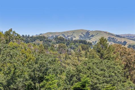 485 Scenic Road Fairfax CA 94930