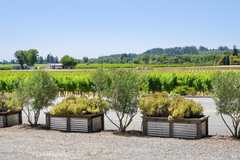 995 Dry Creek Road Healdsburg CA 95448