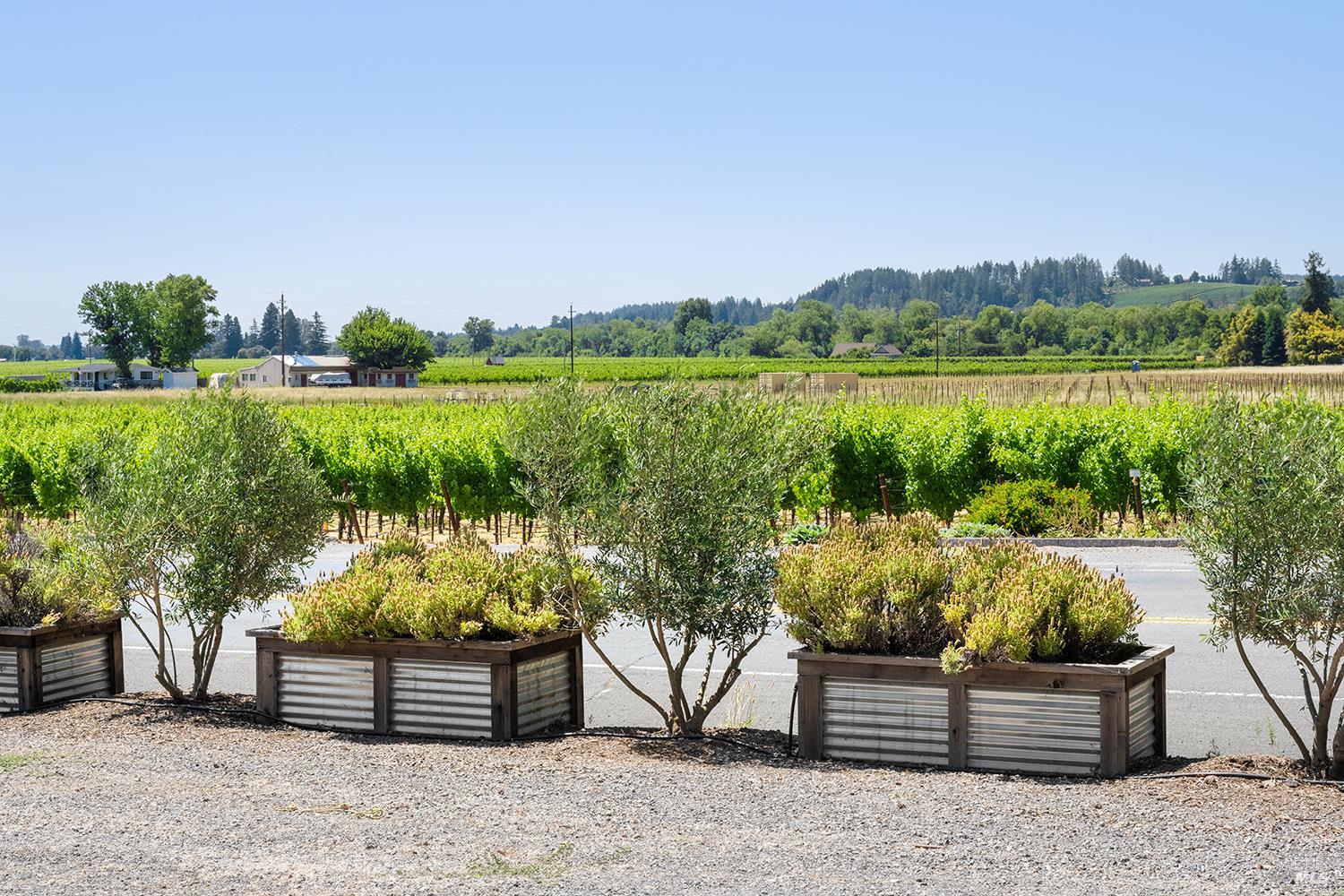 995 Dry Creek Road Healdsburg CA 95448