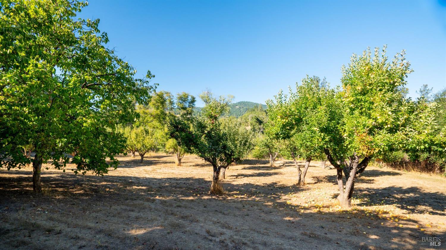 28670 Highway 128 Yorkville CA 95449